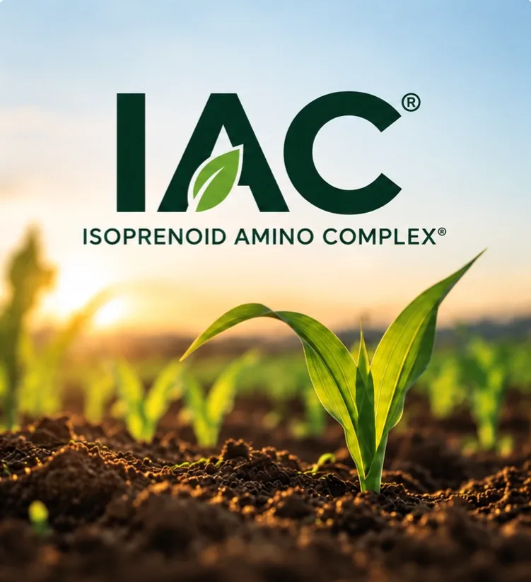 IAC (1)